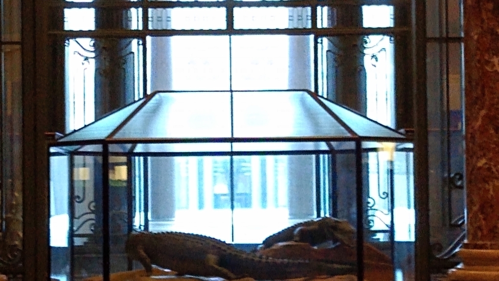 MVIMG_20190219_085832976